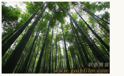 澳洲Diploma in Finance